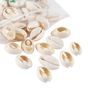 500 g/lot, Mješoviti prirodne Spiralni perle u obliku školjaka za izradu nakita, Školjke Каури, Papaja, 18 ~ 20x13 ~ 14x6 ~ 8 mm, F60